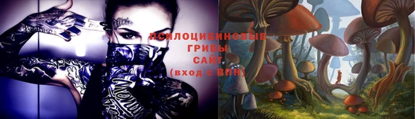 хмурый Билибино