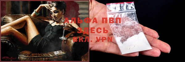 прущие крисы Беслан