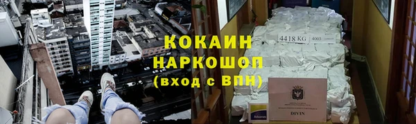 трава Сясьстрой